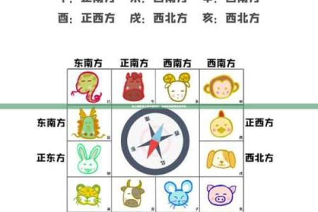 紫薇斗数先天命盘怎么看