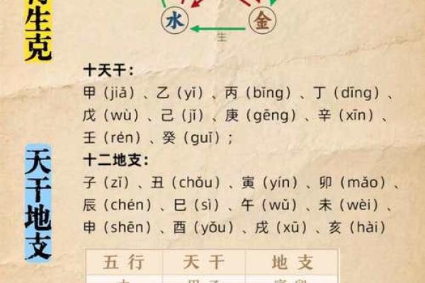 四柱八字疾病全解 四柱八字疾病全解