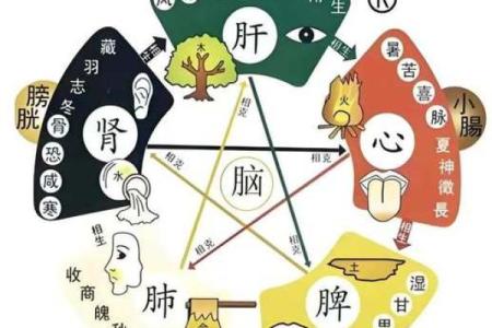 八字命理空间：详解八字算命，懂你命运走势