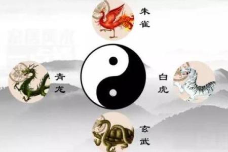 千万要避免的风水禁忌：青龙怕臭、白虎怕吵！