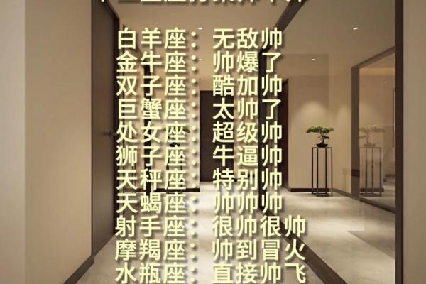 十二星座什么人最适合当老板的 十二星座什么人最适合当老板的