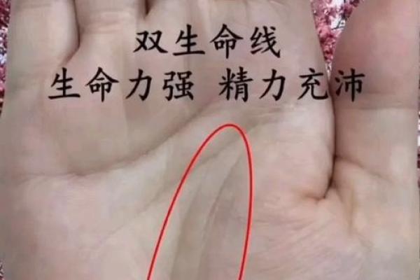 手相算命:生命线断开图解 手相算命:生命线断开图解