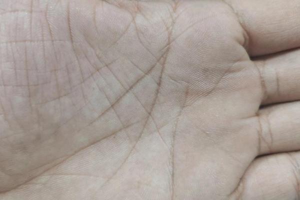 手相算命:生命线断开图解 手相算命:生命线断开图解