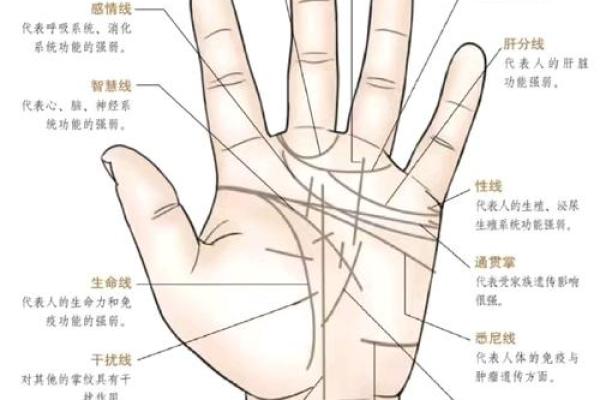 八字算命术和手相面相哪个更准确