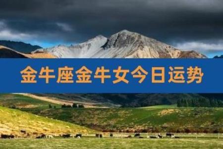 金牛座今日星座运势星座屋  金牛座今日星座运势查查询