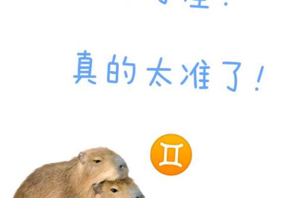 双子座男偏爱什么星座女生 与双子男交往的大忌