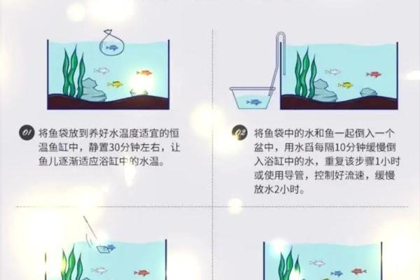 我是做生意的.怎样养风水鱼？