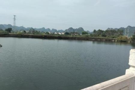 池塘填埋造房子风水