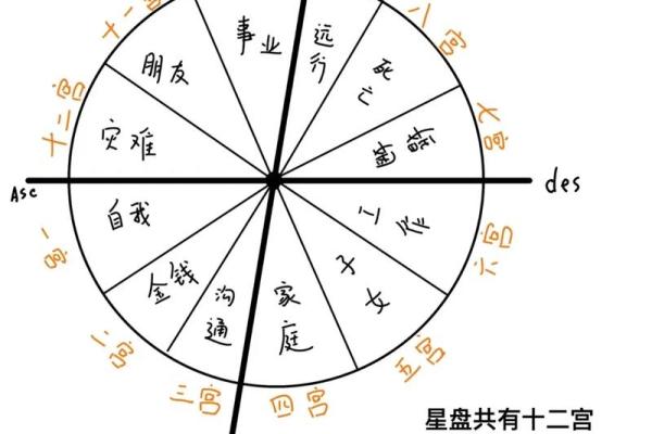 紫薇星盘看天盘还是地盘 紫薇星盘看天盘还是地盘