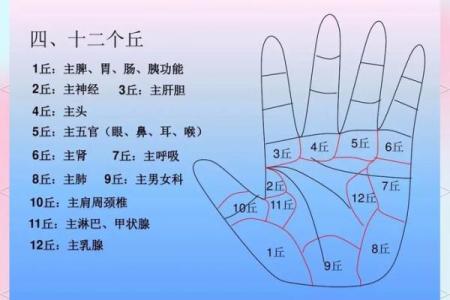 手型算命：土型手人的性格与命运