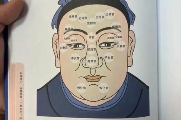 鼻头大的男人面相在风水中有哪些含义 鼻头大的男人面相在风水中有哪些含义