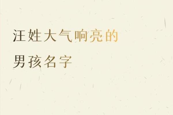 汪姓男孩名字大全-汪姓男孩起名字大全-汪姓名字大全姓名