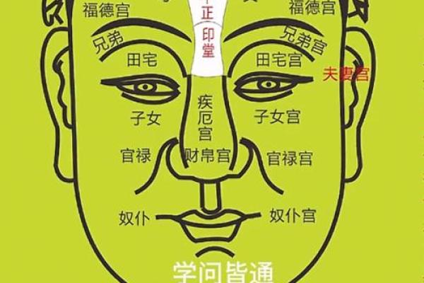 免费占星算命 如何免费占星算命