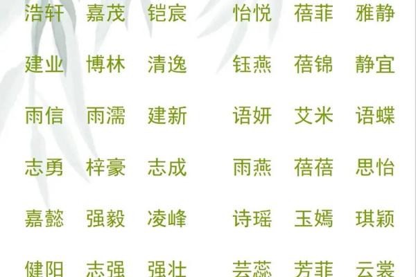 2019年5月1号丑时出生的男孩起名时要注意什么姓名