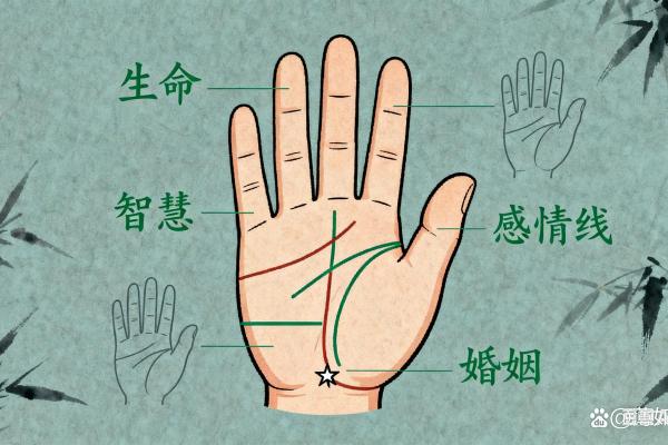 女性怎么看手相算命 手掌绵软厚实命中带有富贵 女性怎么看手相算命 手掌绵软厚实命中带有富贵
