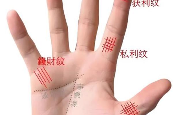 女性怎么看手相算命 手掌绵软厚实命中带有富贵 女性怎么看手相算命 手掌绵软厚实命中带有富贵