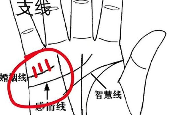 图解：手相希望线算命会得到结果