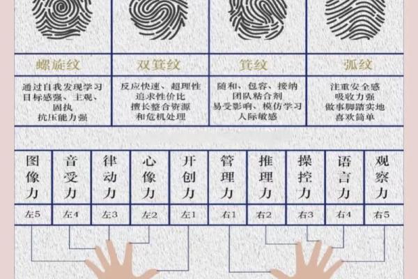 指纹算命 十指指纹算命查询