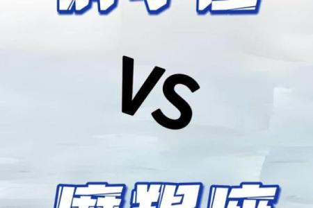 金牛座一区与射手座三区的星座配对