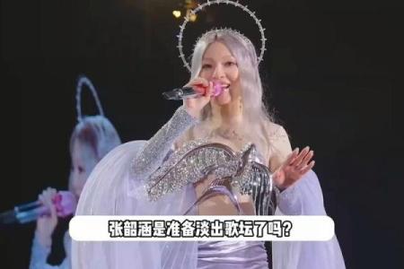 张韶涵紫薇斗数