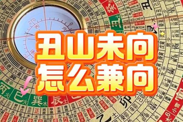 辛乙兼酉卯风水介绍 丁山兼未风水