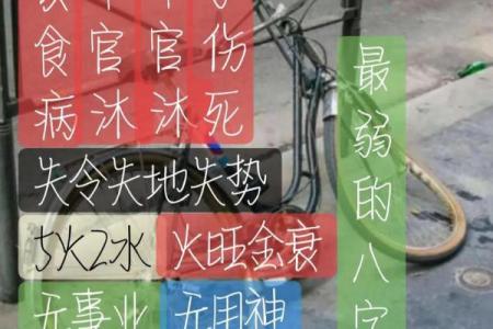 选宝宝八字择吉日法  准备生产的宝妈必看