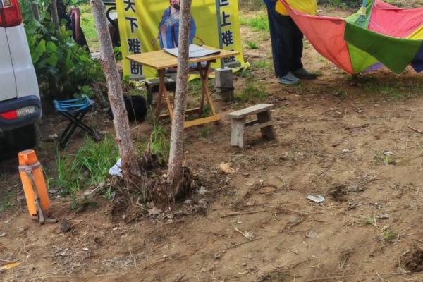 抖音老是刷到算命的视频