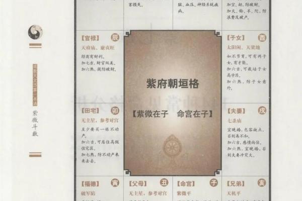 紫微斗数十四主星：破军星概论