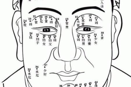 民间面相算命顺口溜