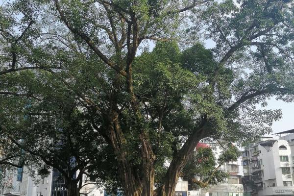 扬州算命哪里准