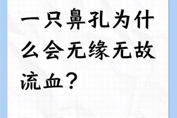 为什么说大鼻子女人不能要风水观点 为什么说大鼻子女人不能要风水观点