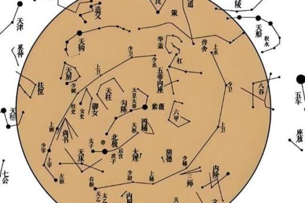 紫薇斗数精成在线阅读