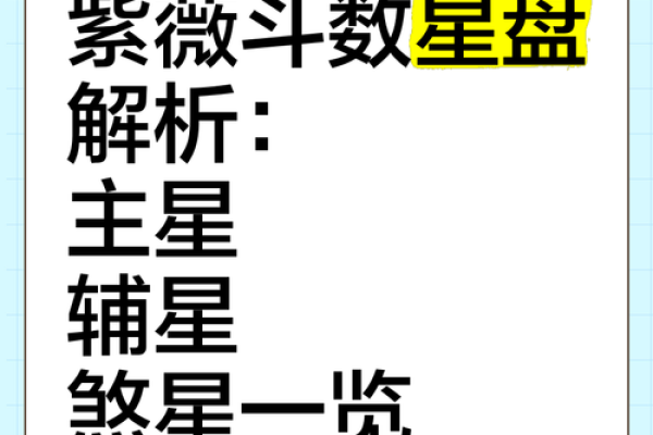 紫薇星盘斗数排盘