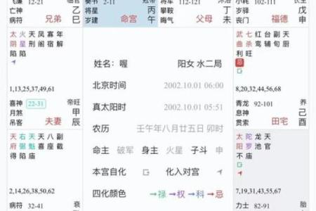 紫薇星盘斗数排盘